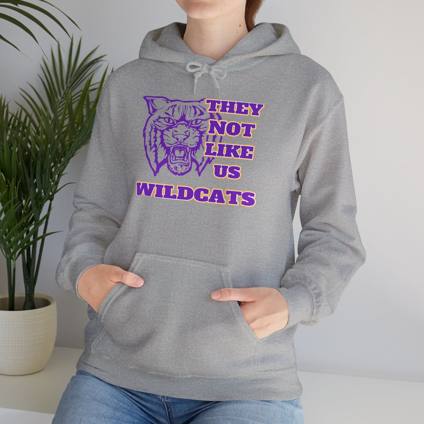 They Not Like Us Wildcats Hoodie