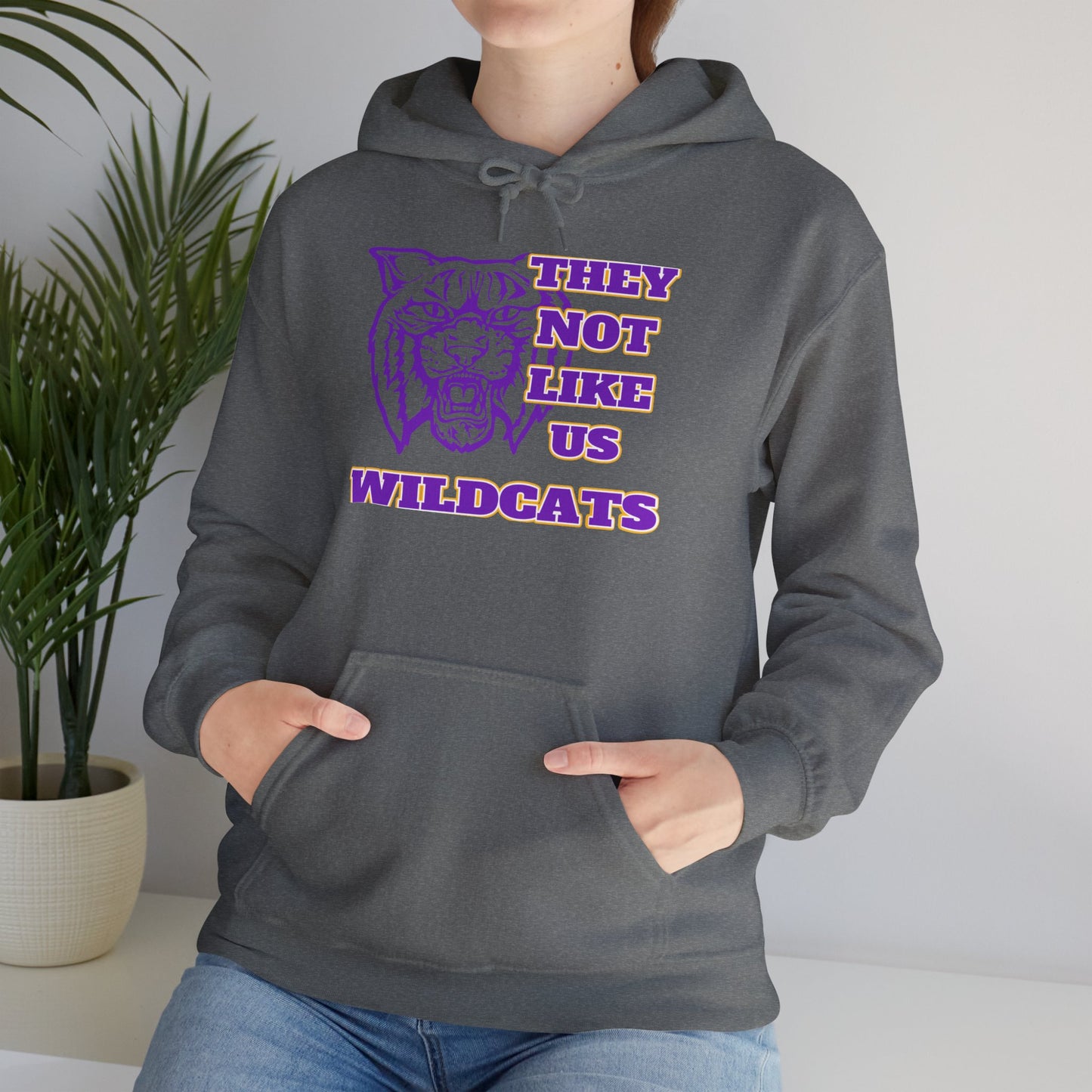 They Not Like Us Wildcats Hoodie